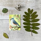 Tufted Titmouse Miniature Original ACEO painting - One of a kind