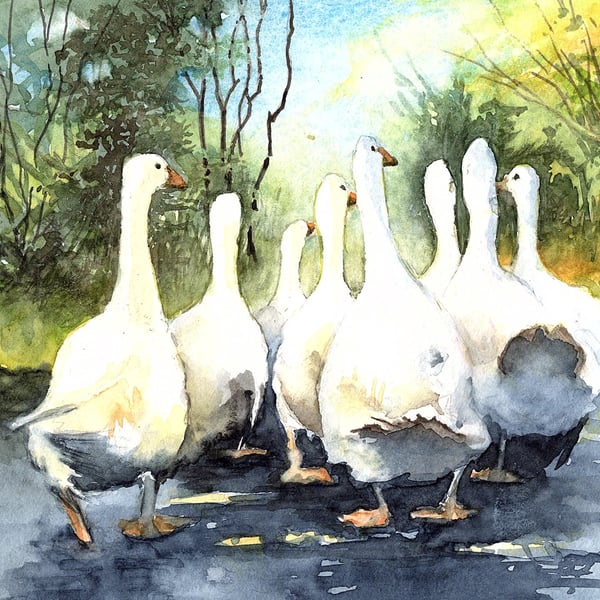 A great day out Print