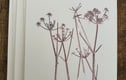 Greetings cards