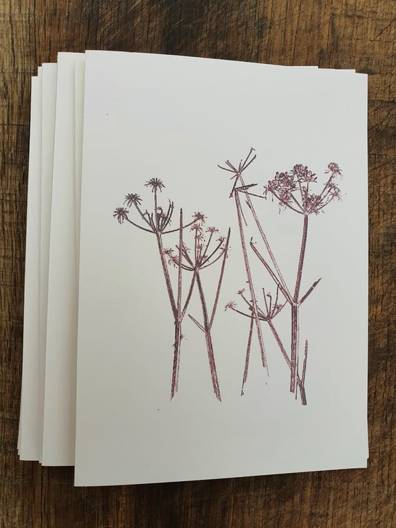 Five cards of hedgerow plants