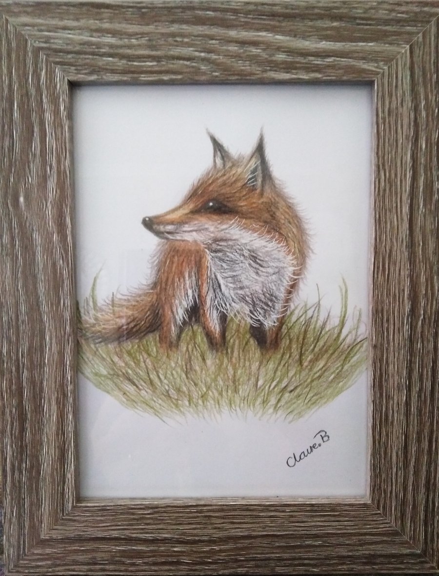 Hand drawn framed fox Wall art