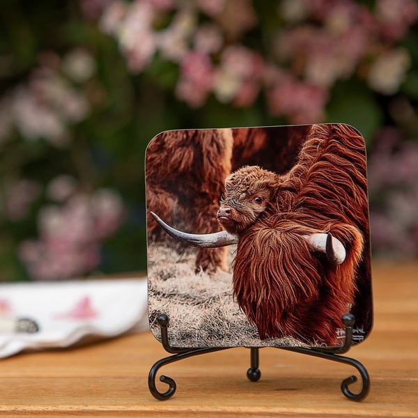 Highland Cow and Calf Wooden Coaster - Original Scottish Animal Photo Gifts - Wi