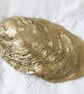 OYSTER SHELL TRINKET DISH ATLAS TRAVEL   - Image 8