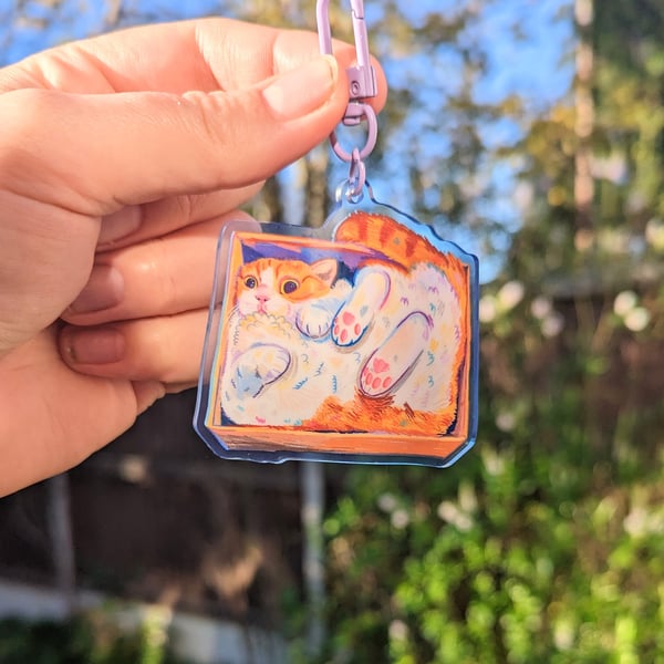 A Different Cat in a Box Keyring 