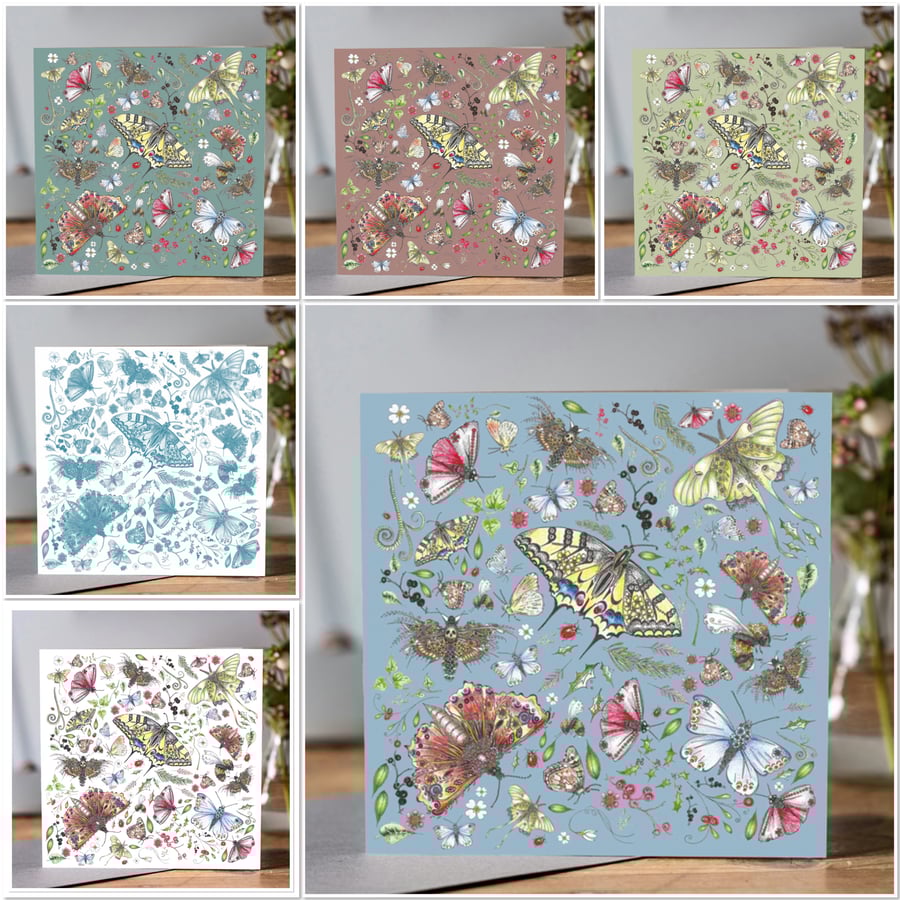 6 stunning Butterfly greeting cards 