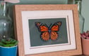 Layered Art