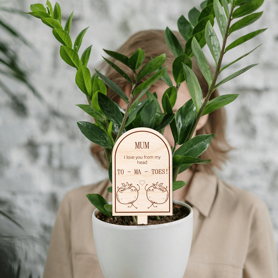 Mother's Day Plant Tag Gift, From MyHead To - Ma - Toes Pun, Plant Accessory