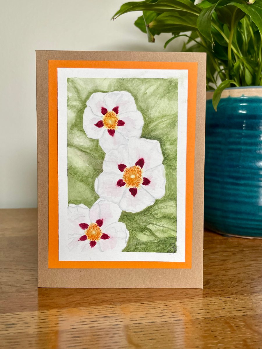 Cards, Greetings card, spring flowers, birthday, easter, original artwork. 