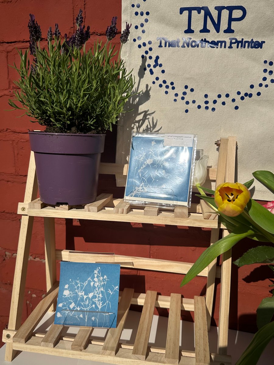 Wildflower Cyanotype Print – Handmade Botanical Sun Print (4"x4")