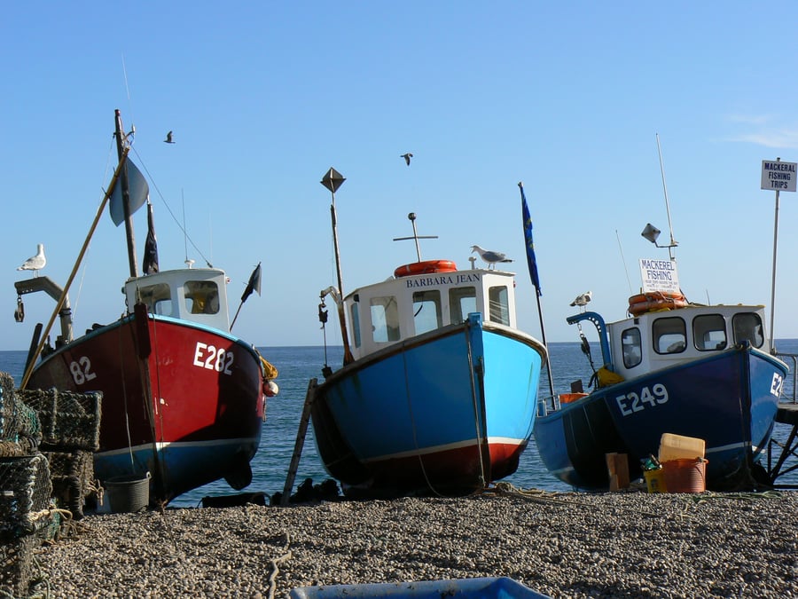 7" x 5" Photographic Card