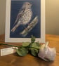 Song Thrush, a signed print of an original drawing - Image 4