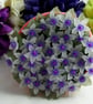 Summer Seconds White Purple and Fuchsia Flower Pot - Image 4