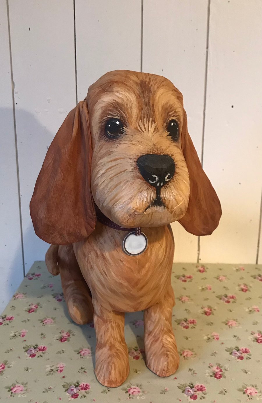 Basset Fauve de Bretagne 