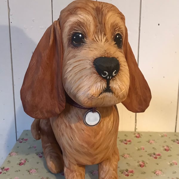 Basset Fauve de Bretagne 