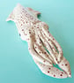 Squid Ceramic Sculpture - CLEARANCE PRICE - Image 3