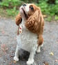 Dog Necktie - Autumn Trees - 5 Sizes Easy Tie On - Image 6