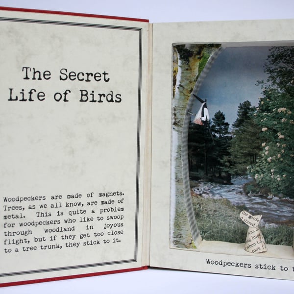 Woodpeckers Stick to Trees