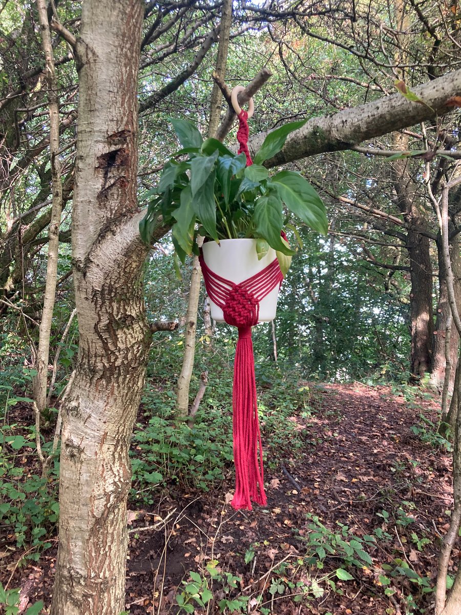 Red macrame plant hanger 