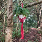 Macrame plant hanger 