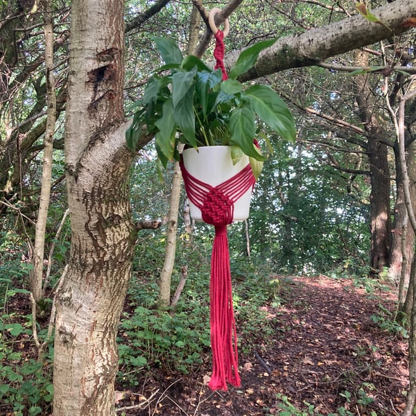 Red macrame plant hanger 