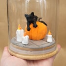 Asleep on the job - Sleeping cat ornament in a glass jar