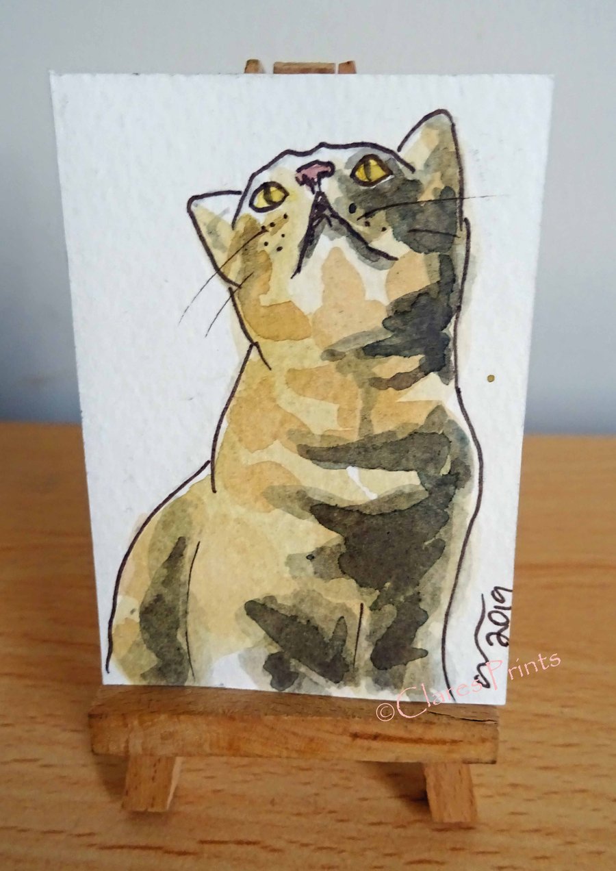 ACEO Animal Art Tabby Cat Sit Original Watercolour Ink Painting OOAK 