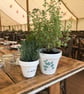 Customisable Hand Painted Plant Pot - Ivory Base With Decorative Foliage - Image 7