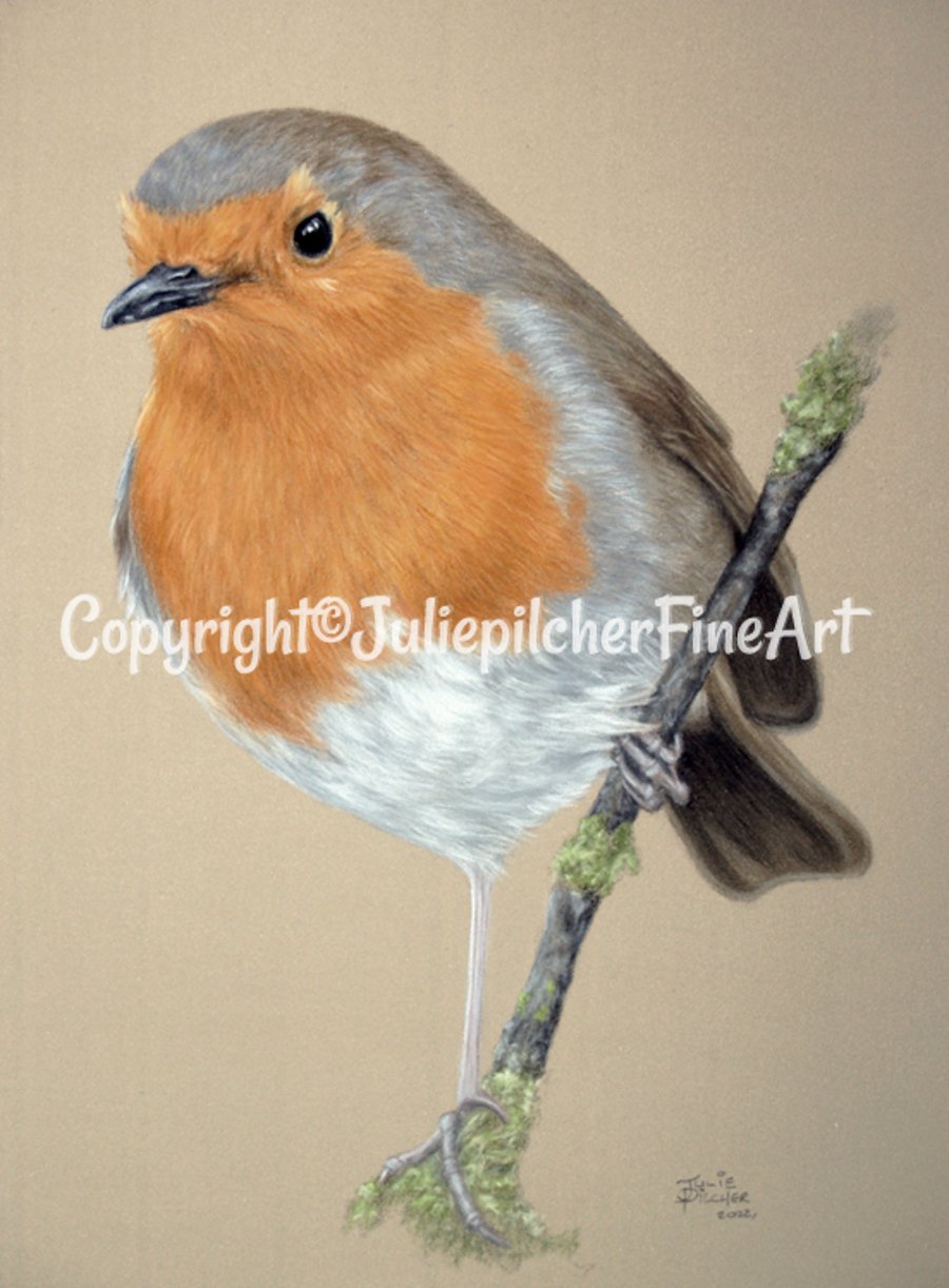 Original Pastel Painting,Robin Red Breast 19.5 x 26cm - Realism