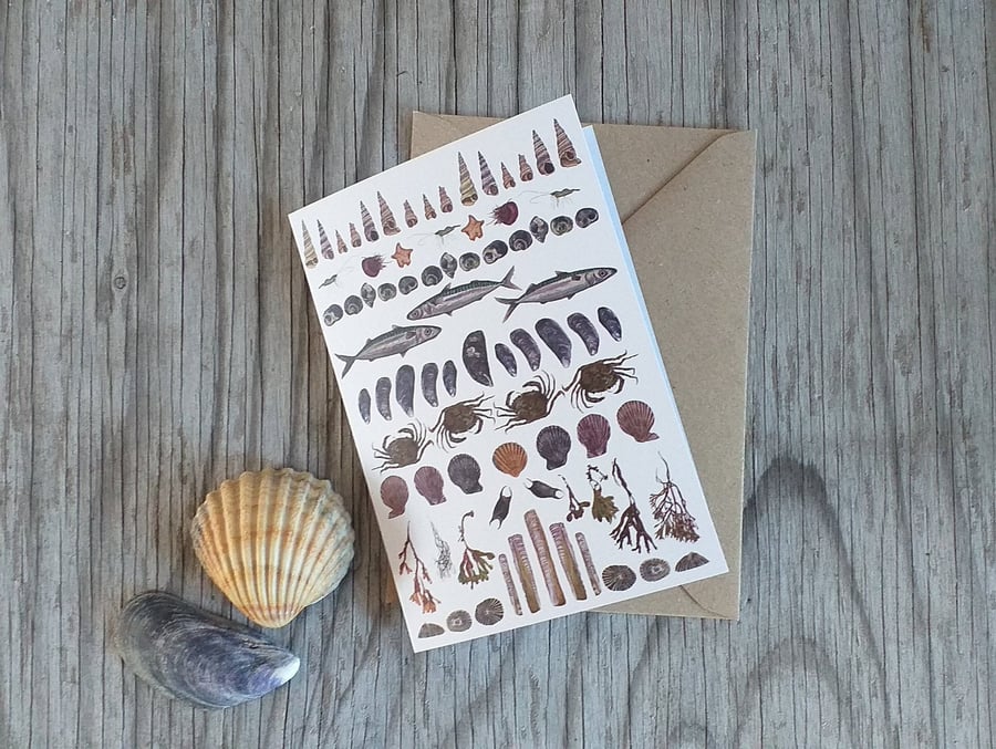 Seaside seashore card by Alice Draws The Line featuring illustrations of differe