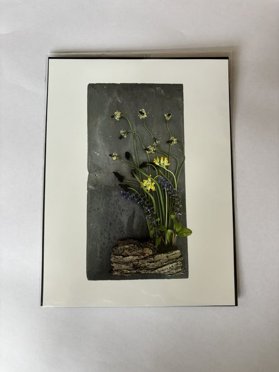 Witch inspired Assemblage Photo 