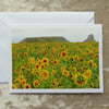 Sunflowers.  A card featuring an original photograph.  Blank inside.