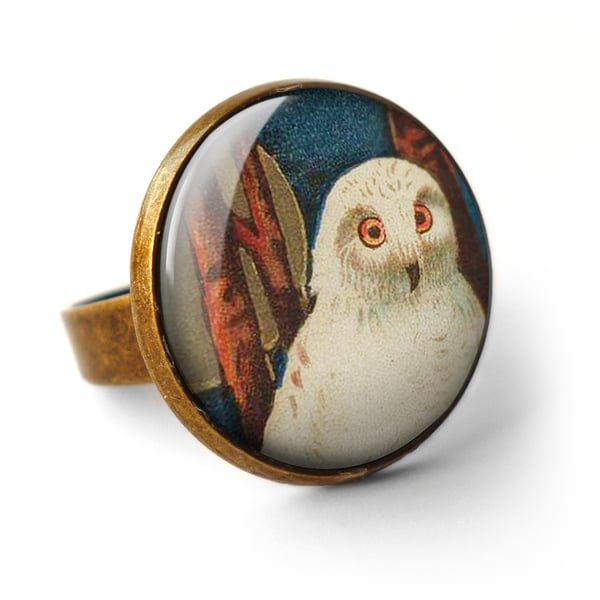 Snowy Owl Ring (TB04)