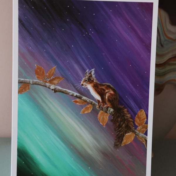 Red Squirrel Northern Lights Blank Greetings Card