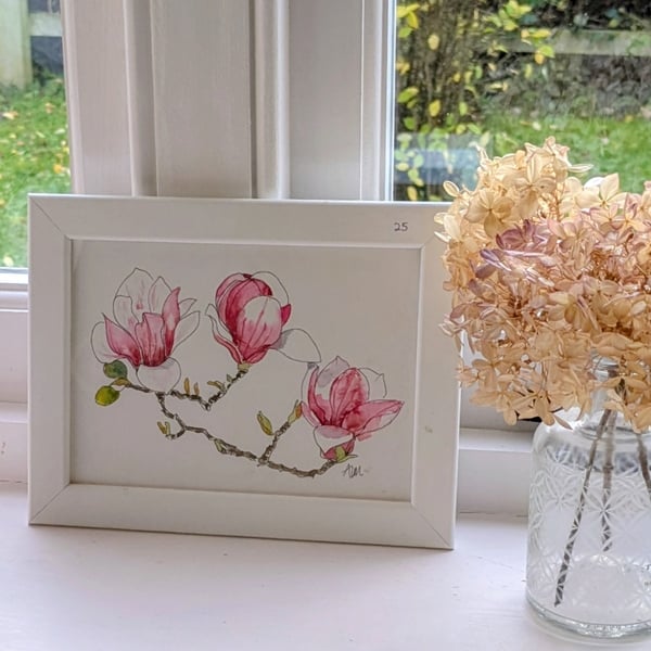 Pink magnolia branch, framed original watercolour painting 