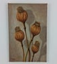 Poppy Seed Pods Acrylic Painting on canvas