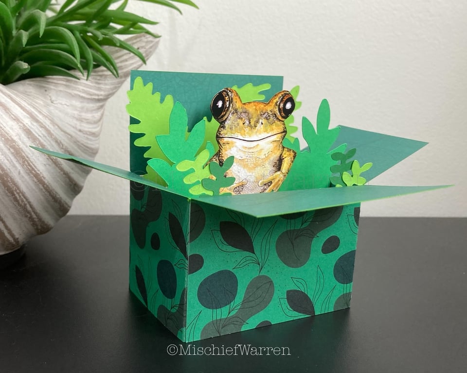 Frog Card. Blank or Personalised 3D Frog box card or Gift Card Holder.