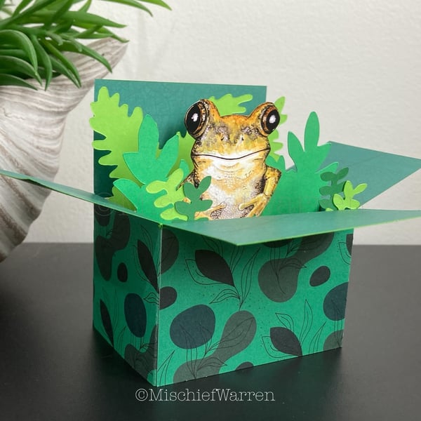 Frog Card. Blank or Personalised 3D Frog box card or Gift Card Holder.