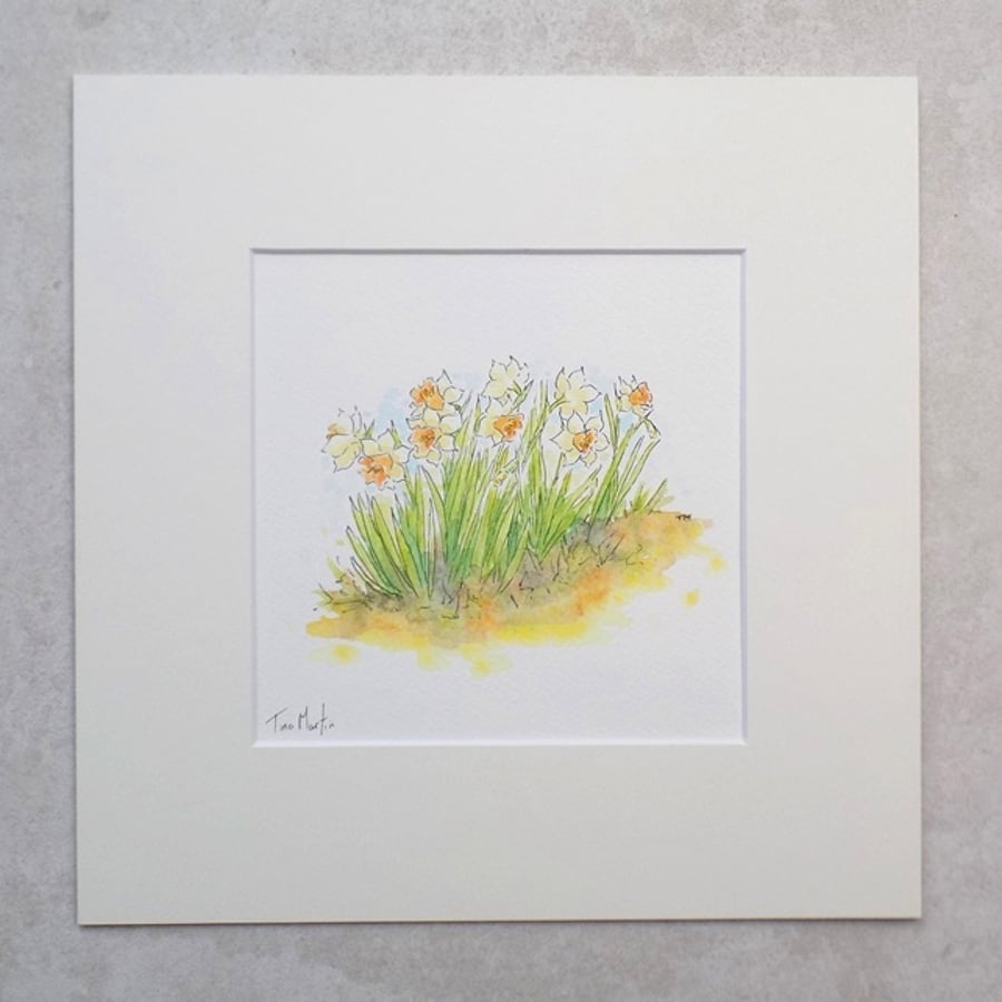 S A L E  Original Watercolour Illustration 'Daffodil Garden'