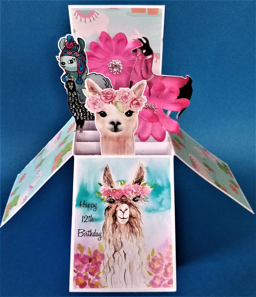 Girls 12th Birthday Card with Llamas