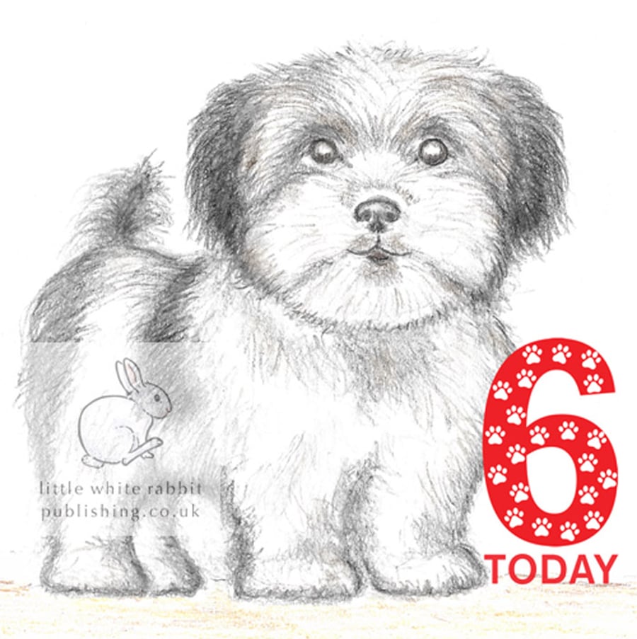 Dylan the Little Dog - 6 Today Card