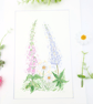 Foxglove, Daisy and Lupin original watercolour flower painting - Image 7