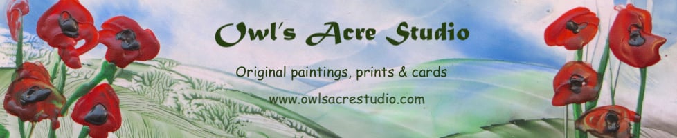 Owls Acre Studio