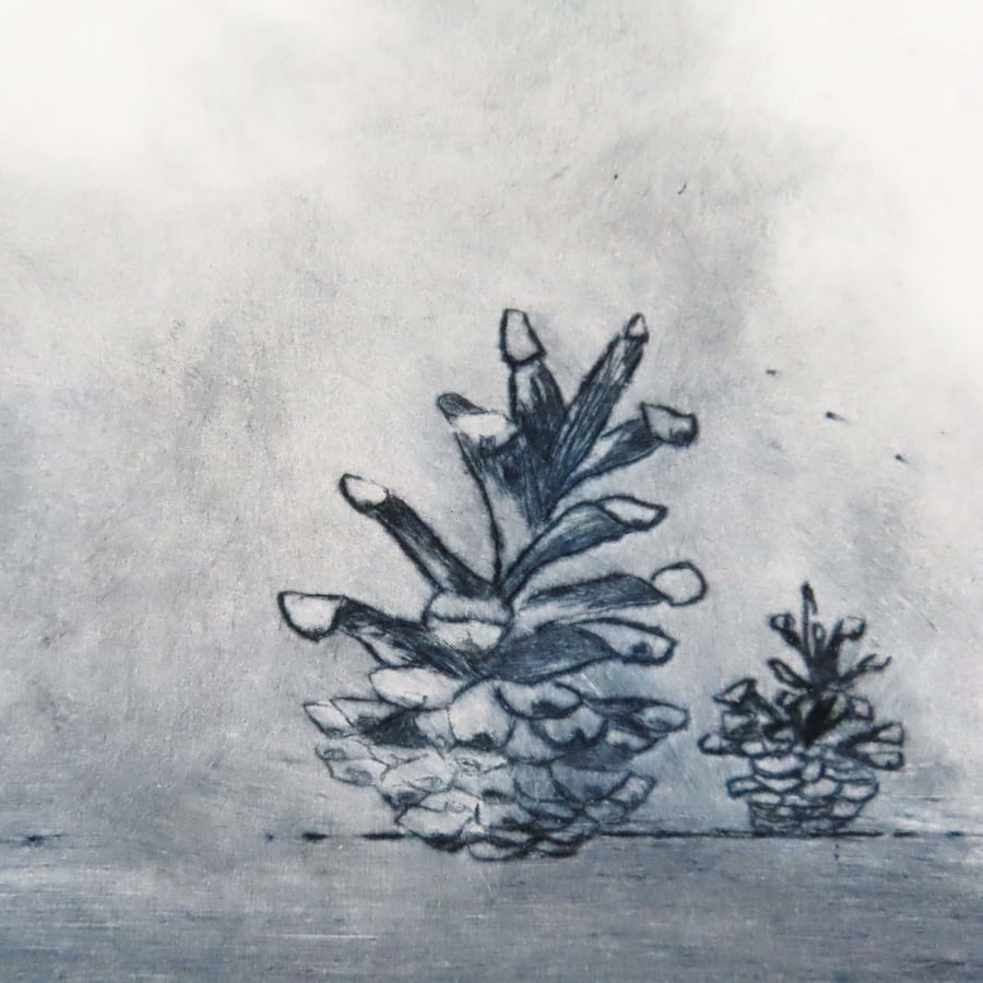 Pine cones original drypoint etching print autumnal woodland theme edition
