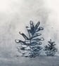 Pine cones original drypoint etching print autumnal woodland theme edition