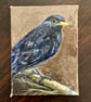 ACEO blackbird on a branch original miniature painting  - Image 3