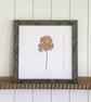 'Dried Hydrangea' Framed Print 12" x 12"