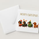 Dachsund All dressed up for Christmas Card