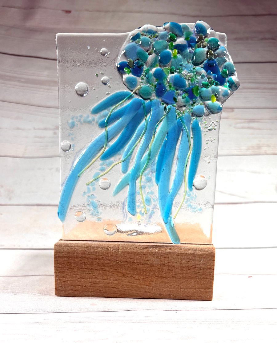 Fused glass jellyfish in oak base 