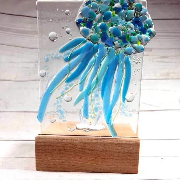 Fused glass jellyfish in oak base 