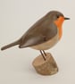 Robin - Image 1